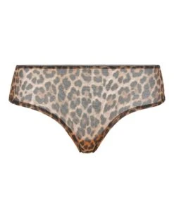 Freya Wildside Shorts -Deals Stylo Vex Store y01bb861734s